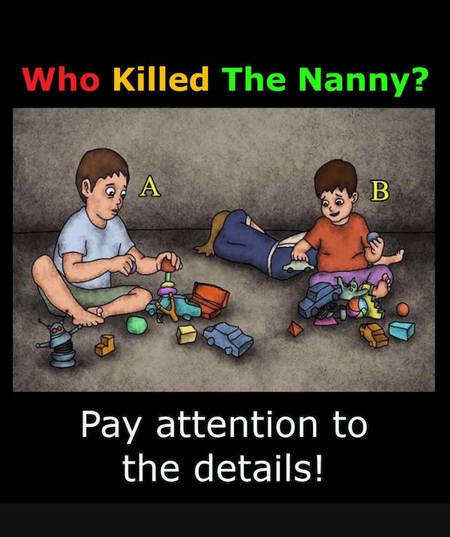 Introduction to the Nanny Murder Case